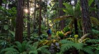 environment as mental coach