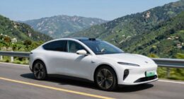 autonomy enhances performance outcomes