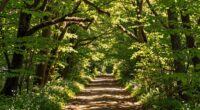 create a fulfilling motivating life
