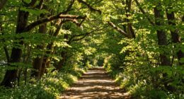 create a fulfilling motivating life
