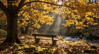 positive narrative transforms hardships