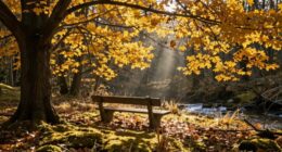 positive narrative transforms hardships