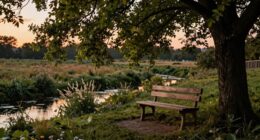 restoring focus and calm
