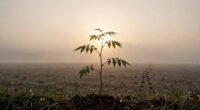 small starts strong momentum