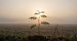 small starts strong momentum