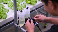 1 Best Auto Irrigation Controller for Hydroponics in 2026