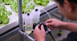 1 Best Auto Irrigation Controller for Hydroponics in 2026