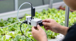 1 Best Modular Sensor Hub for Hydroponics in 2026