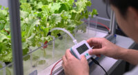 1 Best Water Alarm for Hydroponic Setups in 2026
