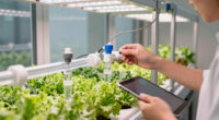 2 Best Hydroponic Automation Hubs in 2026
