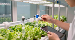 2 Best Hydroponic Automation Hubs in 2026