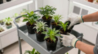 3 Best Best Mobile Utility Cart For Grow Rooms In 2026