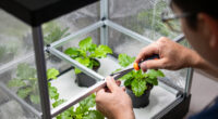 3 Best Grow Tent Kits for Hydroponics in 2026