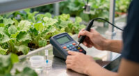 4 Best Commercial Water Test Meter for Indoor Farms in 2026