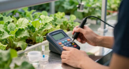 4 Best Commercial Water Test Meter for Indoor Farms in 2026