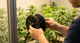 4 Best Hose Reels for Grow Room Water Management in 2026
