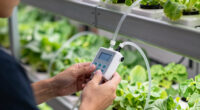5 Best Hydroponic Reservoir Management Kits in 2026