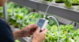 5 Best Hydroponic Reservoir Management Kits in 2026