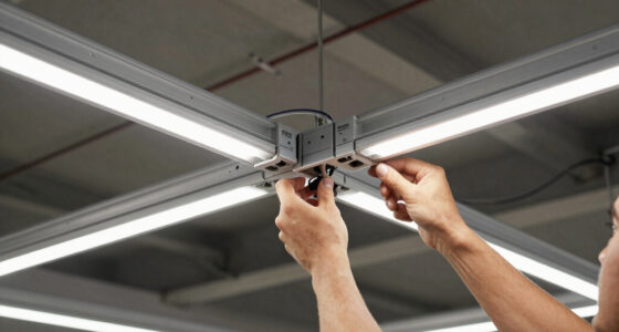 5 Best Inter Canopy LED Bars in 2026