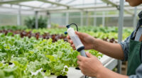 5 Best Nutrient Injector for Hydroponic System in 2026