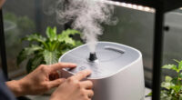 7 Best Ultrasonic Humidifier for Grow Tent in 2026