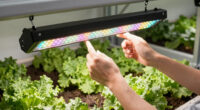8 Best Full Spectrum Led Grow Light For Vegetables In 2026