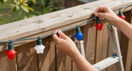 11 Best Patriotic Outdoor String Lights in 2026
